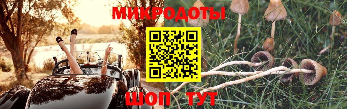 Саров  Псилоцибиновые грибы Psilocybine cubensis  Вход с VPN 